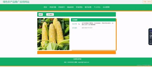 基于SSM框架的绿色农产品推广应用网站开发实践